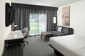 Room, 1 King Bed with Sofa bed
