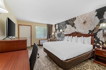 Room, 1 King Bed, Accessible, Non Smoking