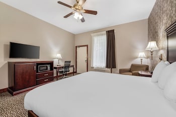 Double or Twin Room, 1 King Bed