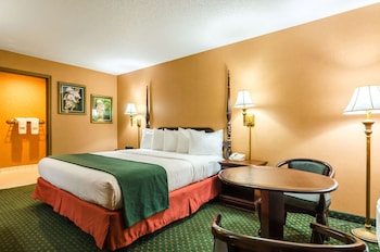 Room, 1 King Bed, Accessible, Non Smoking
