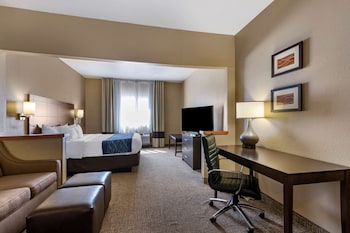 Suite, 1 King Bed with Sofa bed, Non Smoking
