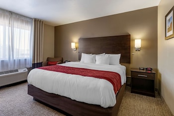 Standard Room, 1 King Bed, Non Smoking