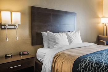Room, 1 King Bed, Accessible, Non Smoking