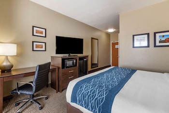 Room, 1 King Bed, Accessible, Non Smoking