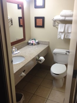 Room, 1 King Bed, Accessible, Non Smoking