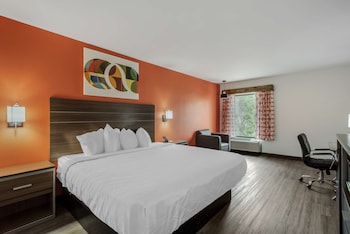 Standard Room, 1 King Bed, Non Smoking, Refrigerator & Microwave