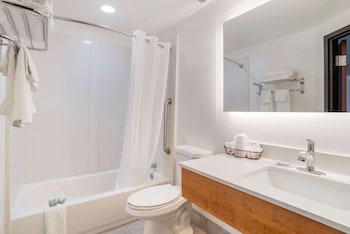 Standard Room, 1 King Bed, Smoking, Refrigerator & Microwave (with Sofabed)