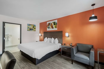 Standard Room, 1 King Bed, Accessible, Non Smoking