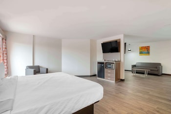 Suite, 1 King Bed, Non Smoking, Refrigerator & Microwave (with Single Sofabed)