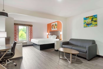 Standard Room, 1 King Bed, Smoking, Refrigerator & Microwave (with Sofabed)