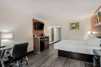 Standard Room, 1 King Bed, Non Smoking, Refrigerator & Microwave