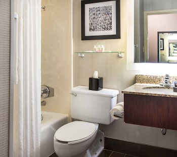 Suite, 1 King Bed, Non Smoking, Refrigerator & Microwave (with Sofabed)