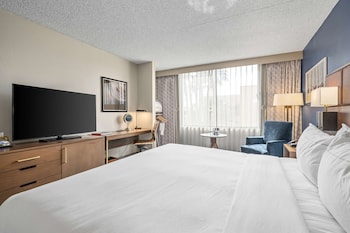 Room, 1 King Bed, Accessible, Bathtub