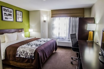 Standard Room, 1 King Bed, Non Smoking
