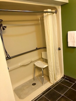 Standard Room, 1 King Bed, Accessible, Non Smoking (Roll-In shower)
