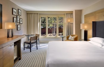 Room, 1 King Bed, Accessible (with Shower)