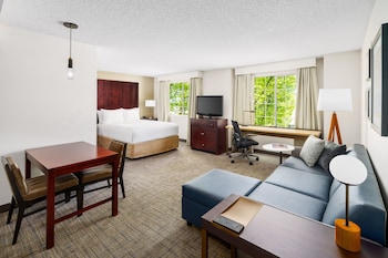 Studio, 1 Queen Bed with Sofa bed