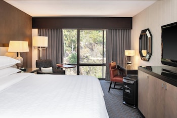 Room, 1 King Bed (Mobility/Hearing Accessible, Tub)