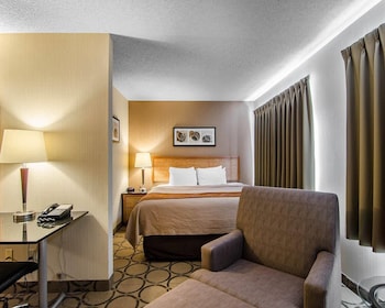 Standard Room, 1 King Bed, Non Smoking