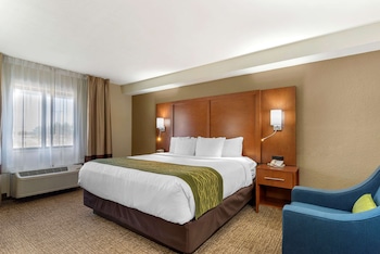Room, 1 King Bed, Accessible, Non Smoking