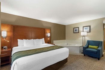 Business Room, 1 King Bed, Non Smoking