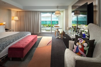 Room, 1 King Bed, Non Smoking (Terrace)