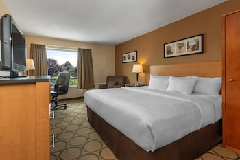 Room, 1 King Bed, Non Smoking