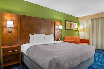 Room, 1 King Bed, Accessible, Non Smoking