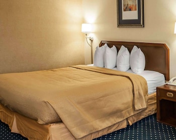 Room, 1 King Bed, Accessible, Non Smoking
