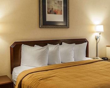 Room, 1 King Bed, Accessible, Non Smoking