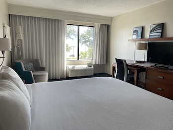 Room, 1 King Bed
