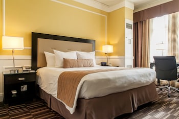 Executive Room, 1 King Bed