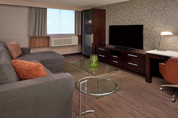 Suite, 1 King Bed with Sofa bed