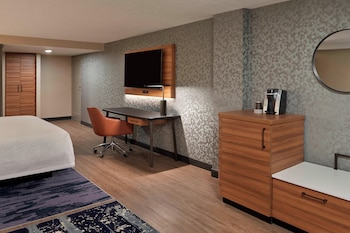 Suite, 1 King Bed with Sofa bed