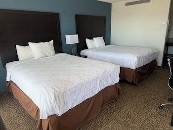 Suite, Multiple Beds