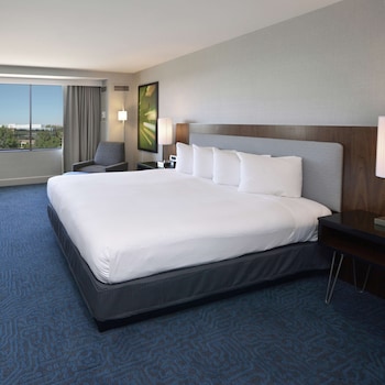 Room, 1 King Bed
