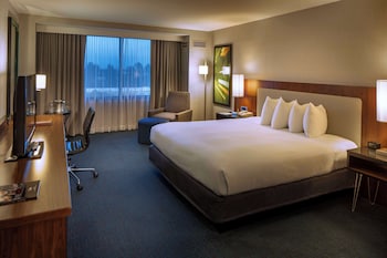Room, 1 King Bed