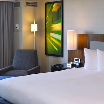 Room, 1 King Bed