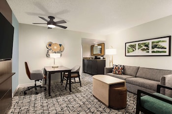 Suite, 1 King Bed (Shower Only)