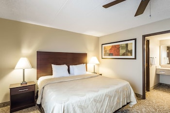 Suite, 1 King Bed with Sofa bed, Non Smoking