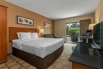 Standard Room, 1 King Bed, Non Smoking, Ground Floor