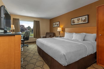 Standard Room, 1 Queen Bed, Non Smoking