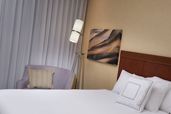Room, 1 King Bed with Sofa bed, Hearing Accessible (Roll-in Shower)