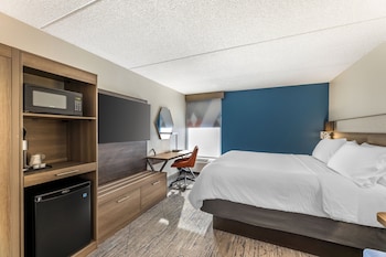 Standard Room, 1 King Bed, Accessible (Accessible Tub)