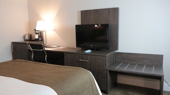 Standard Room, 1 Queen Bed, Non Smoking, Refrigerator (Shower only)