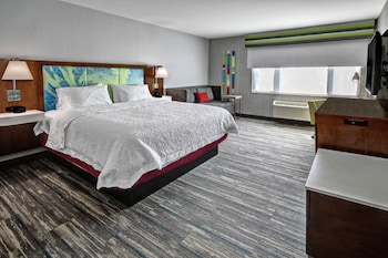 Room, 1 King Bed