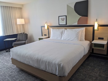 Room, 1 King Bed