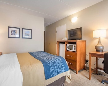 Standard Room, 1 Queen Bed with Sofa bed, Non Smoking, Ground Floor
