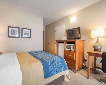 Standard Room, 1 Queen Bed with Sofa bed, Non Smoking, Ground Floor