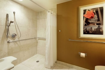 Room, Accessible (Roll-in Shower)
